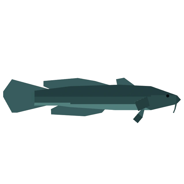 Burbot